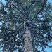 Jeremy-Ledoux Travaux-Nature - Facebook