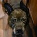 Jeremy LeShon - Facebook
