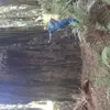 Jeremy Luttrell - @jeremy.luttrell3 - TikTok
