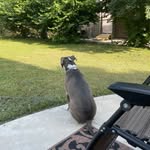 Jeremy Maher - @j24maher - Instagram