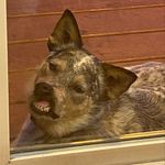 Jeremy Maples - @jmaples79 - Instagram
