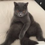 🐾🐱 Master Jeremy🐱🐾🐾 - @master__jeremy - Instagram