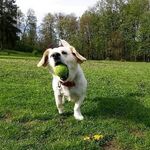 Jeremy Master - @jmaster__24 - Instagram