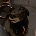 Jeremy McCormack - @jeremy.mccormack.353 - Instagram