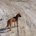 Jeremy Boyer - @jeremyboyer03 - Instagram