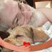 Jeremy Pardue - Facebook