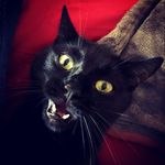 Jérémy Perrin - @jeremyperrin - Instagram