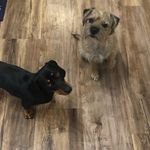 Bob and Mr Jeremy Pickle - @bobandmrjp - Instagram