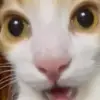 Jeremy Pitman - @jeremy.fnaf8 - TikTok