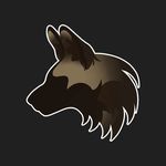 Jeremy Pitman - @motomammal - Instagram
