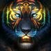 Jeremy Pitman - Facebook