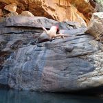 Jeremy Plessis - @jeremyplessis - Instagram