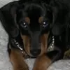 Jeremy Rasch - @jeremy.rasch3 - TikTok