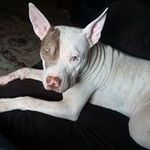 Jeremy Risner - @jrisner90 - Instagram