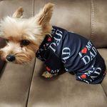 Jeremy Samples - @beardeddragon64 - Instagram