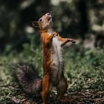 Chad Jeremy Solberg - @chadjsolberg - Instagram