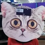 Jeremy Stultz - @jeremy.stultz - Instagram