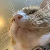 Jelamy - @jeremyyyyo_ - TikTok