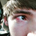Jeremy Yoder - @jeremy_yoder117 - Instagram