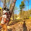 Jeremy Yoder - @jeremy.yoder29 - TikTok