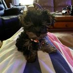 Jeri Adams - @anew.beginning.9404 - Instagram