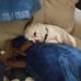 Jeri Adams - Facebook