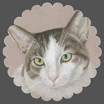 Jeri Allison - @jeriallisonportraits - Instagram
