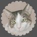 Jeri Allison: Animal and Pet Portraits - Facebook