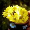 কষ্টের জীবন - @jeriaus.shhryf1 - TikTok