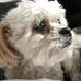 Jeri Ball - Facebook