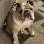 Jeri Bentley - @jheriw214 - Instagram