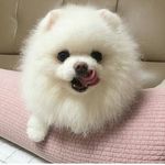 jeriberry - @jeriberry02 - Instagram