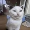 jerifish - @jeriiberry - TikTok