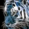 Jerri Case347 - @jerricase1 - TikTok