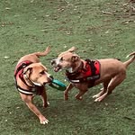 Jeri Patton Chapman - @pattonchapman - Instagram