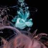 jerin_chase - @jerin_chase - TikTok