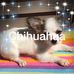 Jerrie Cobb - Facebook