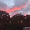 Jeri Lynn Cook - @jeri.lynn.cook - TikTok