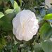 Jeri Cox - Facebook