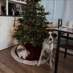 Jeri Fletcher - Facebook