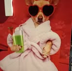 Jeri Griffith - Facebook