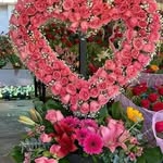 Jeri Hansen - @nabet16609 - Instagram