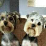 Jeri Harris - @jeri.harris.351 - Instagram