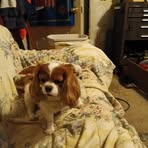 Jerry Howard - Facebook