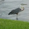 Jerry Knapp - @jerry.knapp5 - TikTok