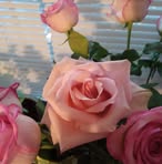 Jeri Knight - Facebook