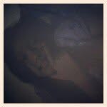 jerilane ganda - @jerilanepajarito - Instagram