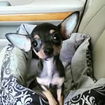 Jerri Lane Price - @jerrilaneprice - Instagram