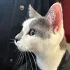 jerileigh90 - @jerileigh90 - TikTok