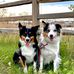 Jeri Luker Madsen - Facebook